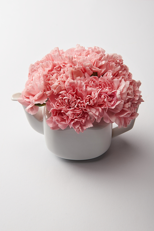 close-up view of beautiful tender pink flowers in white teapot on grey