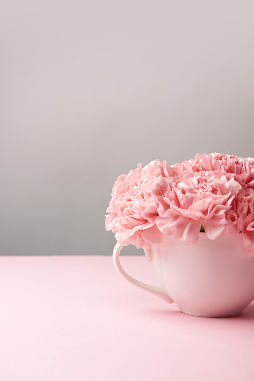 close-up view of beautiful pink carnation flowers in cup on grey background