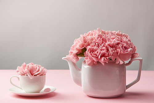 beautiful tender pink carnation flowers in white teapot and cup on grey