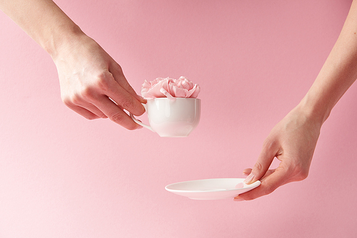 cropped shot of woman holding saucer and cup with beautiful flowers isolated on pink