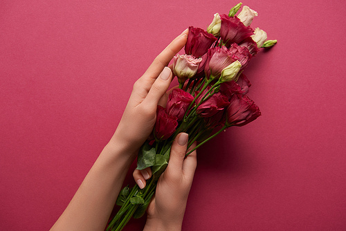 cropped view of woman holding bouquet in hands on ruby background