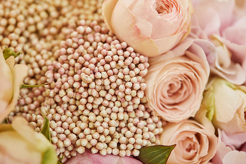 close up of bouquet of beige roses and peonies