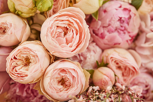close up of bouquet of pink peonies