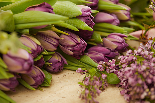 purple tulips and lilac on table at flower shop