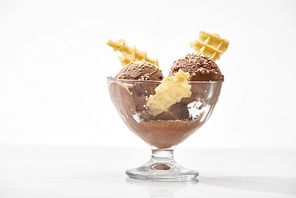 delicious chocolate ice cream in glass bowl with waffles isolated on white