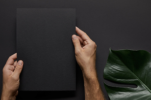 Male hands holding black notebook on black background with green leaf