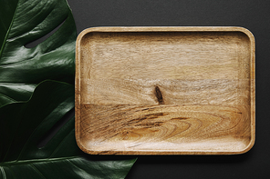 Empty wooden board on black background with monstera leaves