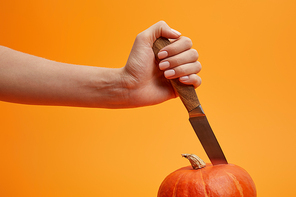 cropped shot of person holding knife and cutting ripe pumpkin isolated on orange