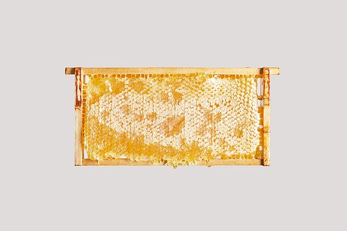 close up view of sweet beeswax on grey background