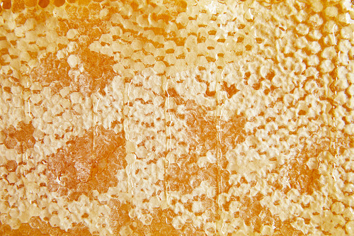 full frame of sweet beeswax with honey as background