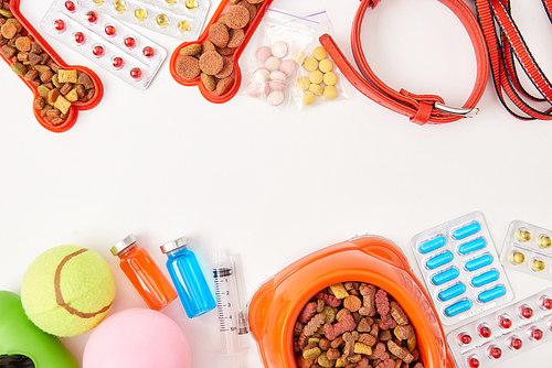 flat lay with dog collar| various pills| balls and bowl with dog food on white surface