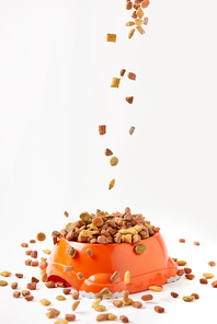 dog food granules falling into plastic bowl with pet food on white