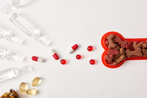 top view of ampoules with medical liquid| various pills and plastic bone with dog food on white surface