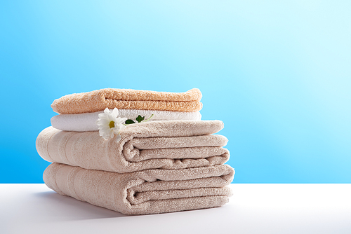close-up view of stacked clean towels with white chamomile flower on blue