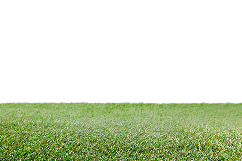 lawn with green grass on white| floral background