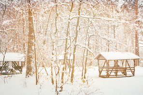 toned picture of alcoves in beautiful snowy winter forest