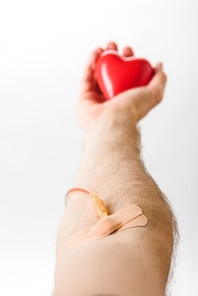 Cropped view of blood donor with catheter and plasters holding toy heart| blood donation concept