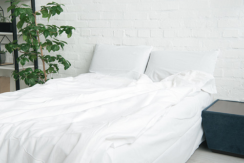 bed with white blanket and pillows| plant and black nightstand