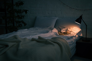 Interior of bedroom with book and glasses on empty bed| plant and lamp on black nightstand at night