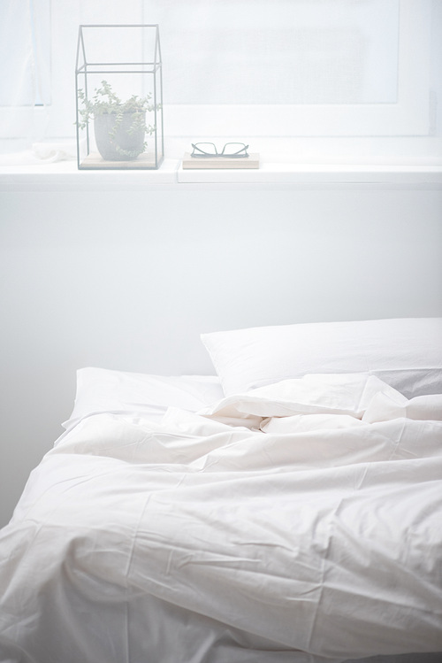 bedroom with pillow and white blanket on cozy bed| plant and glasses