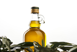 olive tree leaves and bottle of oil isolated on grey
