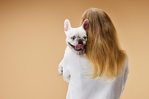 woman holding on shoulder white french bulldog with dark nose on beige background