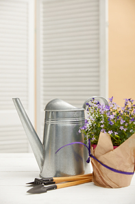 purple flowers in flowerpot with paper| watering can| tools