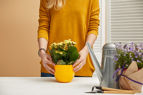 croopped view of gardener holding yellow flowerpot with flowers