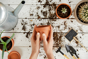 partial view of gardener holding clay flowerpot among plants| tools and watering can