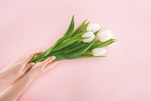 cropped view of woman holding bouquet of white tulips isolated on pink