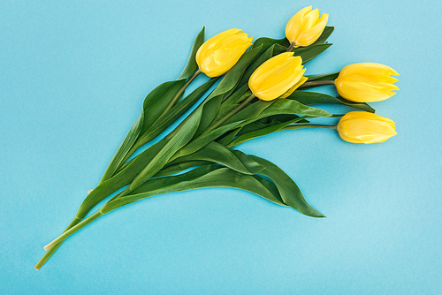 top view of bouquet with yellow spring tulips isolated on blue for 8 march