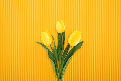 top view of bouquet with yellow tulips on orange background for international womens day