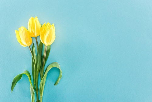top view of bouquet with yellow spring tulips isolated on blue background