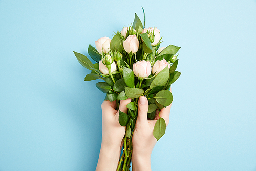 partial view of female hands with beautiful bouquet of roses on blue