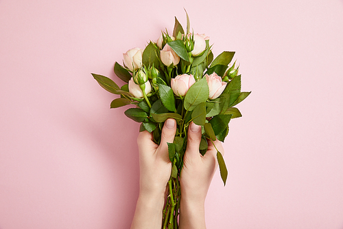 partial view of female hands with beautiful bouquet of roses on pink