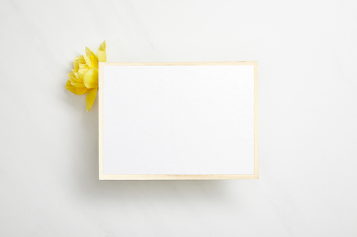 top view of white empty card with yellow narcissus flower on white background
