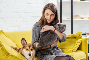 beautiful woman sitting on sofa with pembroke welsh corgi and adorable scottish fold cat
