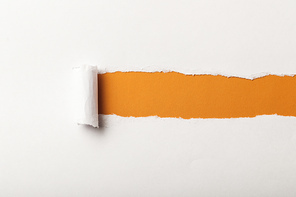 torn paper with rolled edge and copy space on orange background