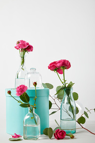 eucalyptus and pink roses in transparent bottles with turquoise gift box and bell jar isolated on white