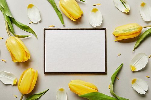 top view of white blank card with yellow tulips isolated on grey