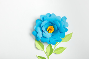 top view of blue paper flower and green plants with leaves on grey background