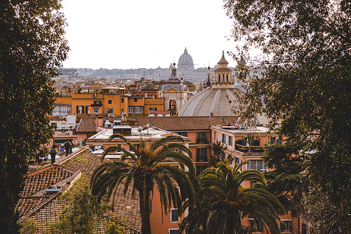 view through trees and palm trees on Rome, Italy