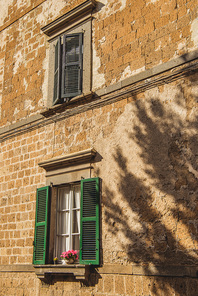 tree shadow on building in Orvieto, Rome suburb, Italy