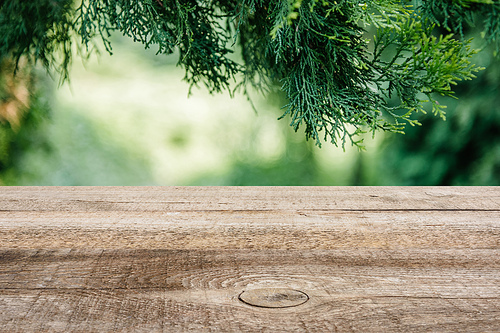 template of brown wooden floor with pine tree leaves and green blurred background