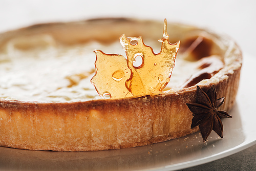 close-up view of gourmet flan cake with caramel and star anise on white plate