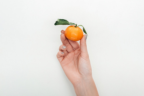 cropped view of woman holding tangerine with green leaves on white background