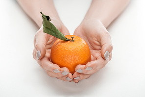 partial view of woman holding ripe whole unpeeled tangerine with leaf on white background