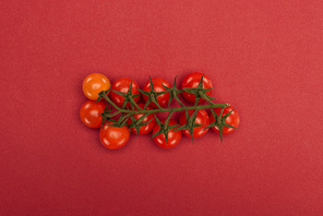 top view of ripe red cherry tomatoes branch on red background