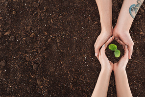 cropped view of couple holding ground with green plant in hands, protecting nature concept