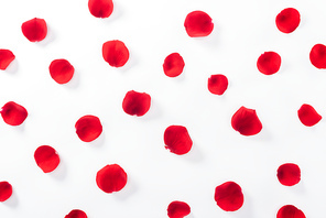 top view of red rose petals isolated on white